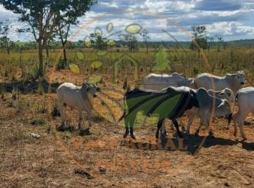 Imagem 1 · Fazenda para venda em Centro, Brasilândia de Minas