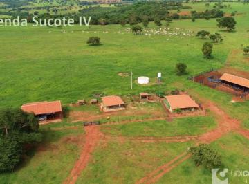 Imagem 1 · Fazenda