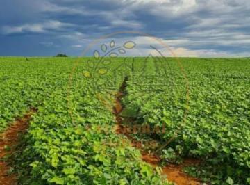 Imagem 1 · Fazenda