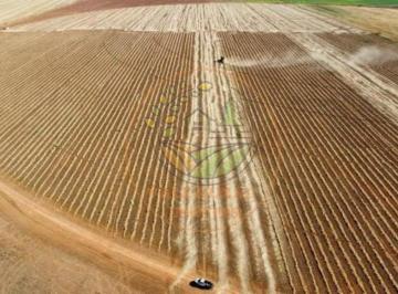Imagem 1 · Fazenda