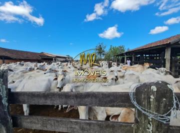 Imagem 1 · Fazenda