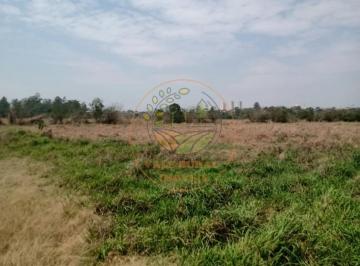 Imagem 1 · Haras e Área Rural Padrão