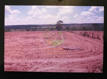 Imagem 1 · Fazenda