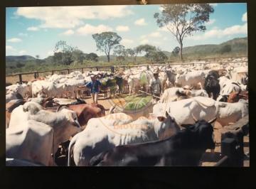 Imagem 1 · Fazenda para venda em Centro, João Pinheiro