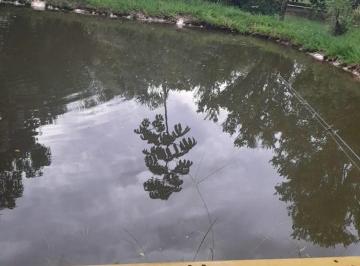 Imagem 1 · Fazenda