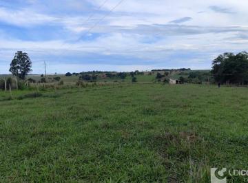 Imagem 1 · Fazenda