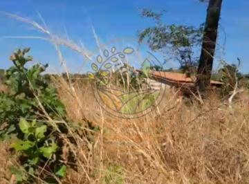 Imagem 1 · Fazenda