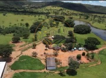 Imagem 1 · Fazenda