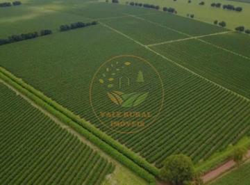 Imagem 1 · Fazenda