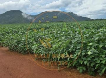 Imagem 1 · Fazenda