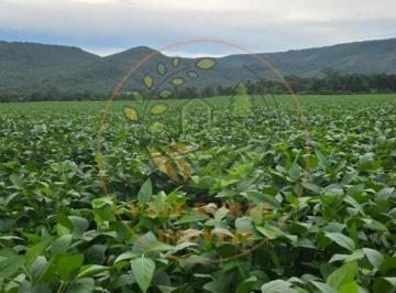 Imagem 1 · Fazenda