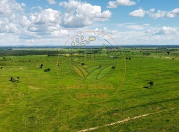 Imagem 1 · Fazenda para venda em Setor Centro, Flores de Goiás