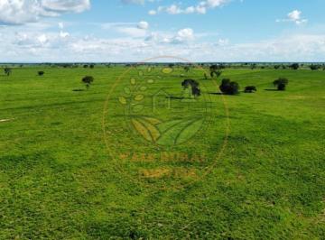 Imagem 1 · Fazenda