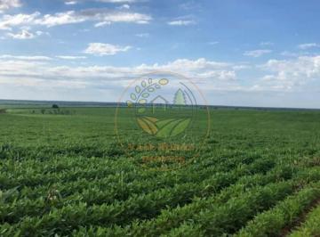 Imagem 1 · Fazenda