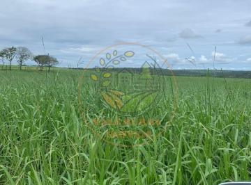 Imagem 1 · Fazenda