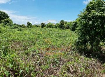 Imagem 1 · Fazenda