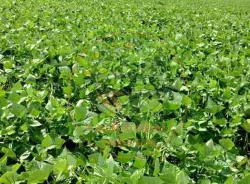 Imagem 1 · Fazenda