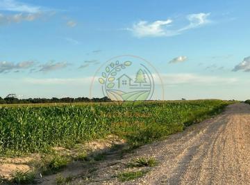 Imagem 1 · Fazenda