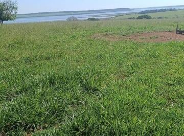 Imagem 1 · Fazenda