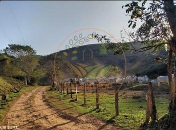 Imagem 1 · Fazenda