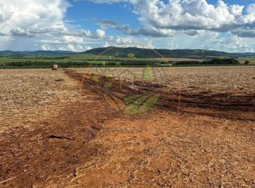Imagem 1 · Fazenda