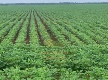 Imagem 1 · Fazenda