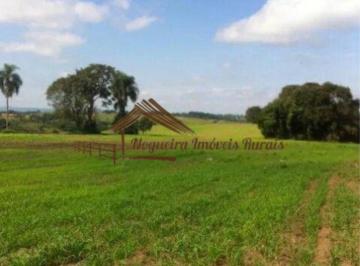 Rural , Quadra · Sitio a venda com 10 alqueires na região de Quadra-SP