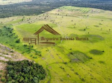 Rural , Formoso do Araguaia · Fazenda com 130 alqueirão à venda no Tocantins