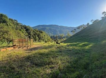 f719d26d286948cdb4148440d98bba0a7508deb8 · Terreno à venda, 20000 m² por R$ 829.000,00 - Testo Alto - Pomerode/SC