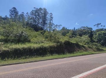fbe051dc4fb2611cf78c532fae1b77df0217c455 · Terreno à venda, 48958 m² por R$ 1.000.000,00 - Testo Alto - Pomerode/SC