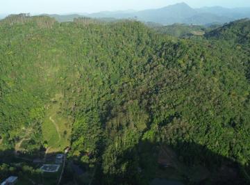 98f3fb7562f9a5e263c0ce69ec4b3b16bad975c3 · Terreno à venda, 39913 m² por R$ 850.000,00 - Testo Central Alto - Pomerode/SC