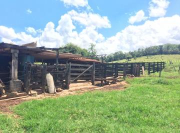 Rural · 1113200m² · Fazenda à Venda - Santo Antônio de Goiás - GO