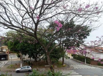 IMG_20260618_104409_000.jpeg · Funcional casa para venda em Parque São Domingos com 4 quartos, sendo 2 suítes, 210m² - brunopaes#OW