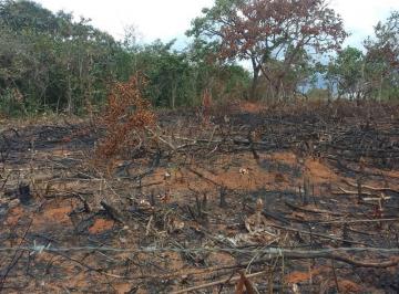 Rural · 1433m² · chacaras financiadas em mateus leme com escritura