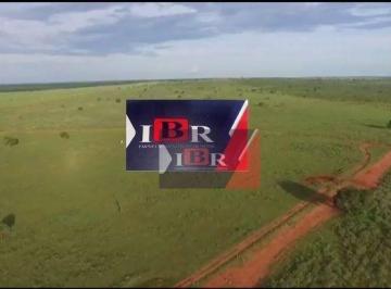 f234a2b4f9c1c8036978b442366243257f423695 · Fazenda em Ribas do Rio Pardo - MS