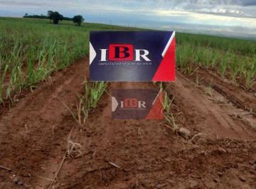 af21770cc862a76bca7c7b4afc29fc7320524a5d · Fazenda em Alto Taquari - MT