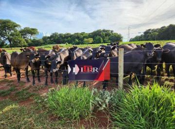 421694bcf2a171b3f7e6d7cbec4731568c5b7da1 · Fazenda em Aparecida do Taboado - MS