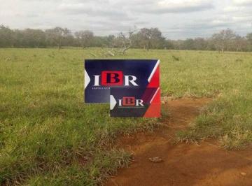 19678d7bee5381a8367f5fc7ad203bfa1a5ae2f0 · Fazenda em Taboco - MS