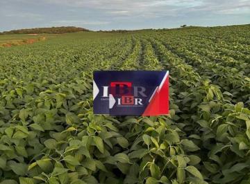 7284c8b35375849930be00187806e8583764fb8d · Fazenda em São Gotardo - MG