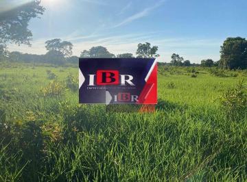 825d377f4388b5d7ff04d3699631a39cbb7b8927 · Fazenda em Tres Lagoas - MS