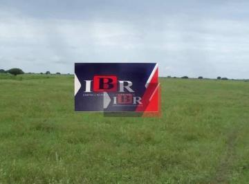 904b28e864396e79cdaae28b666c4c43ffd935e3 · Fazenda em Selvira - MS