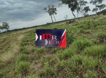 68c5e07524627b8e666685717a6997ea42fe81d8 · Fazenda em Anastácio - MS