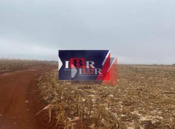 5d99da2ab6dbdc1bec966d9b97baba4ee5d4bc21 · Fazenda em Ponta Porã - MS