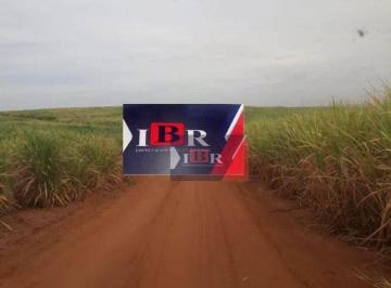 e05cd2d71f18e13ec41505fbbc23130b89f9fba4 · Fazenda em Araçatuba - SP
