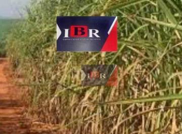 b394efba0652e98b7b32275a4e392cf48e346b80 · Fazenda em Araçatuba - SP