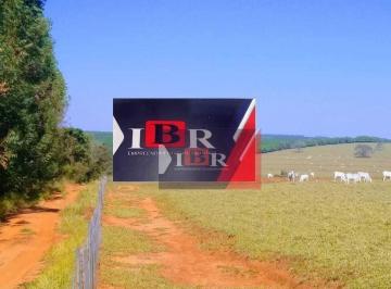 52026940b7eec73e0677c7694f471863ba776909 · Fazenda em Avaí - SP