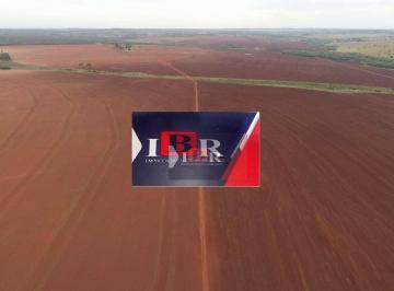 b638cbdd325024331b238e339b470394945cb8c8 · Fazenda em Bandeirantes - MS