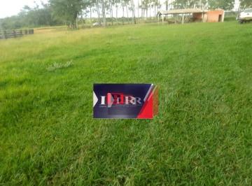 2ee71057a89a58c7db90a0a465c7864c108ade75 · Fazenda em Ribas do Rio Pardo - MS
