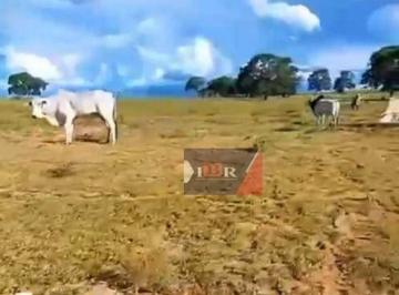 918f2a12110cc5bbd1b9303a85b1d7225754051e · Fazenda em Camapuã - MS