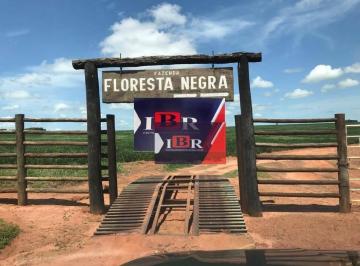 20e66668715718ca7489fd6852d29e6a46608e16 · Fazenda em Sete Quedas - MS